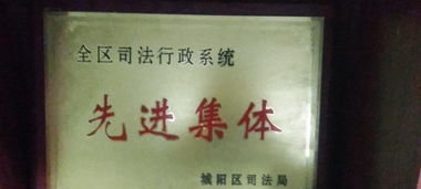 專業代理 為您的法律事務保駕護航